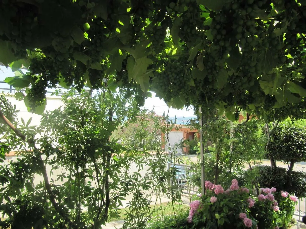 Fran Apartment Crikvenica Croatia